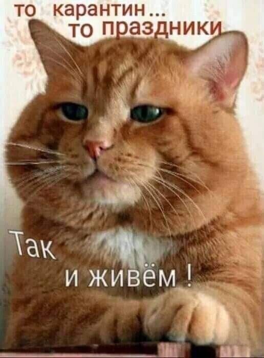то карантин