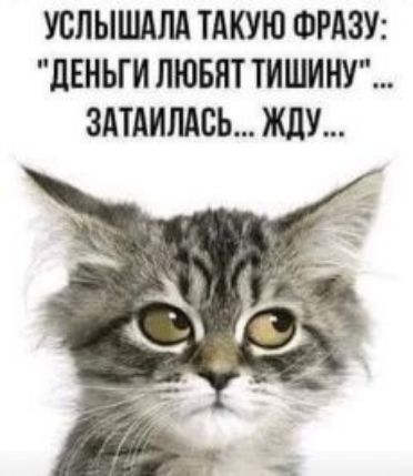 УСЛЫШАЛА ТАКУЮ ФРАЗУ дЕНЫИ ЛЮБЯТ ТИШИНУ ЗАТАИЛАСЬ ЖДУ