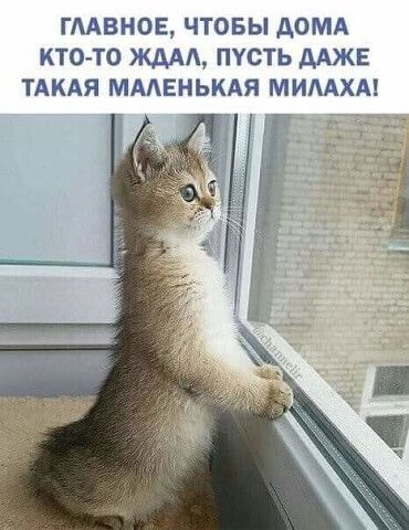 ГААВНОЕ ЧТОБЫ АОМА КТОТО ЖААА ПУСТЬ ААЖЕ ТАКАЯ МААЕНЬКАЯ МИААХА