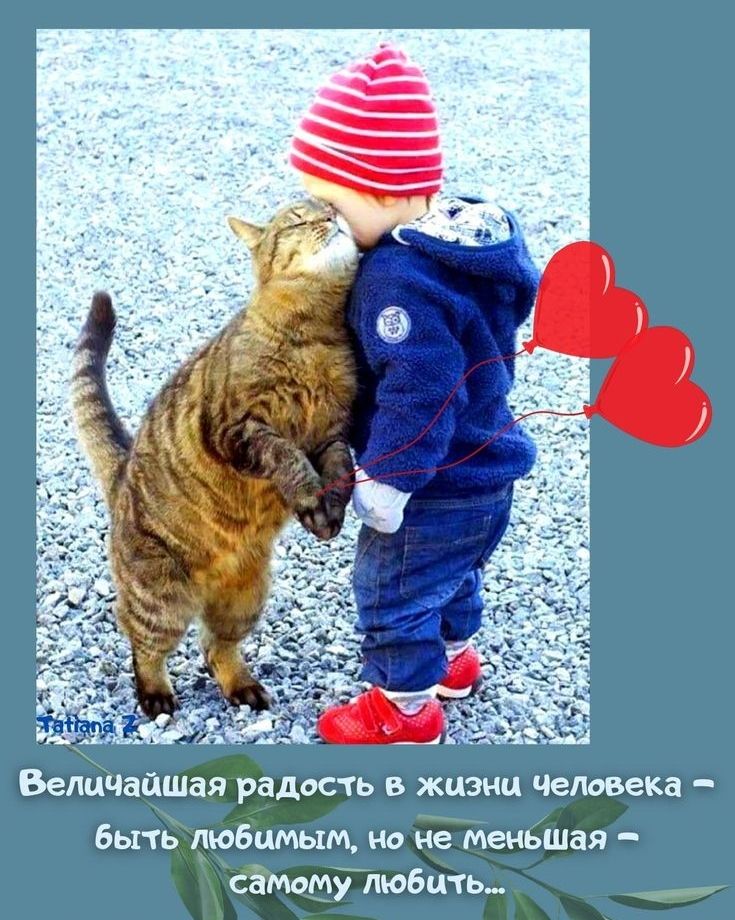 Белицайшая радость в жизни Чедовека быть любимым но не меньшая саМому любить