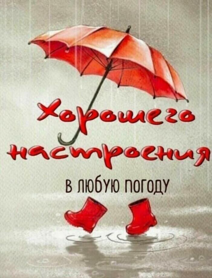 Мцсинросни в любую погоду ЗН
