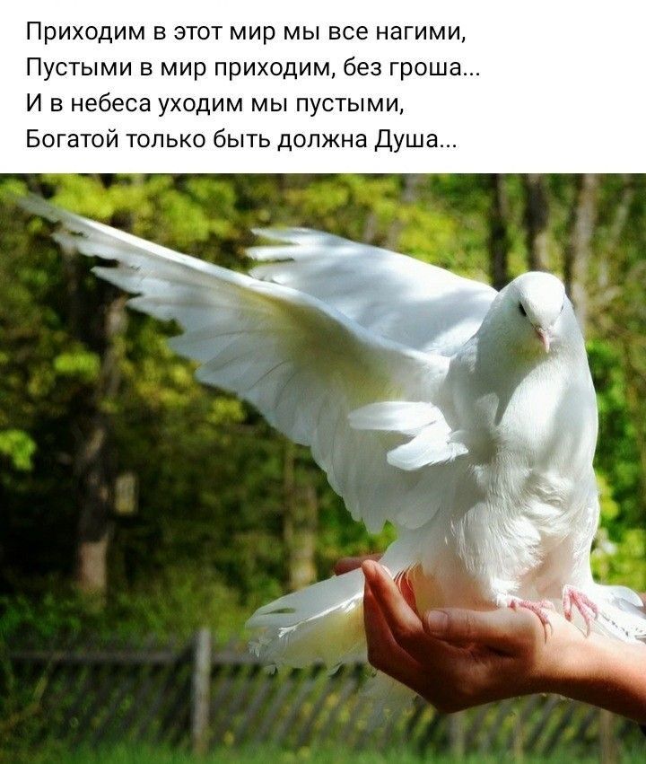 Приходим в этот мир мы все нагими Пустыми в мир приходим без гроша И в небеса уходим мы пустыми Богатой только быть должна Душа