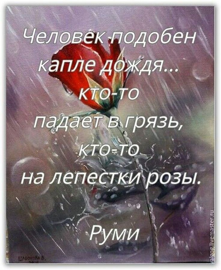 Нд ЛЁП ТКМорОЗЫ