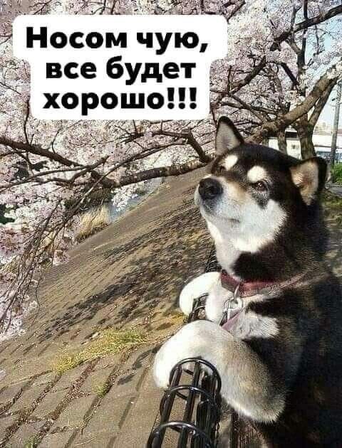 все будет хорошо Её