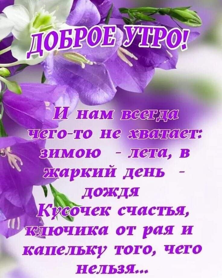 и нам всеви ичегото нейхважает: вимою  лета, в ббкаркий день  дождя кусочек счастья, ;е'щчи'лсё! От рая и ь капельку того, чего нельзя...