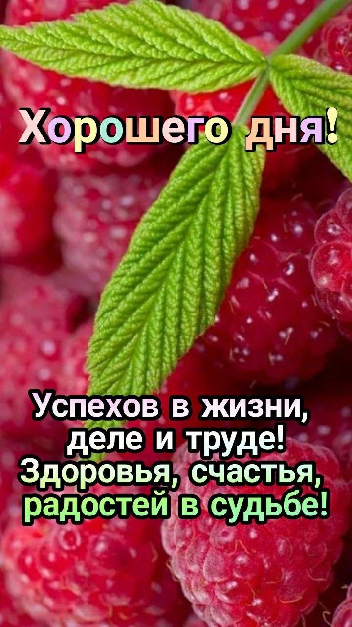 Успехов в жизни деле и трудед ЗдорбВья счастья