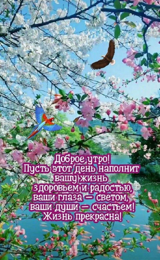 _ Пусты фт ВЗЩШЖИЁНЬ здорчвземтяэадчсщью дЁЁВЁШЁ плаза зщмг ЖВЗШИДЧЦМ сидением _ Г ЖизнеарТпркрстна __
