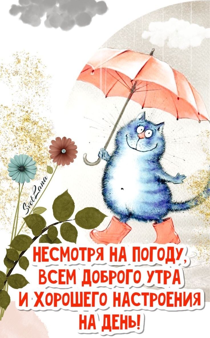 _ _ __ дзідЁ вяшдоьгэштгю идхорошщ ндстровния нвсмотря нд пого