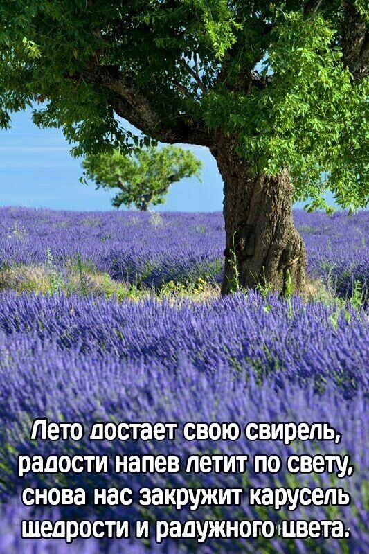 зрадости напев пети5 по с _ М ШВП ОСТИ И ад ЖНОПОЦВ Т 11121 _У _ е а
