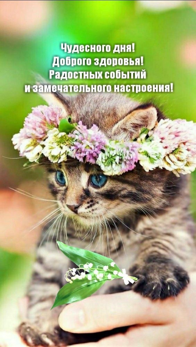 _ ШШТЭШШ ЩШМЦЮЁЕШЕ ЁЩШЛШШ