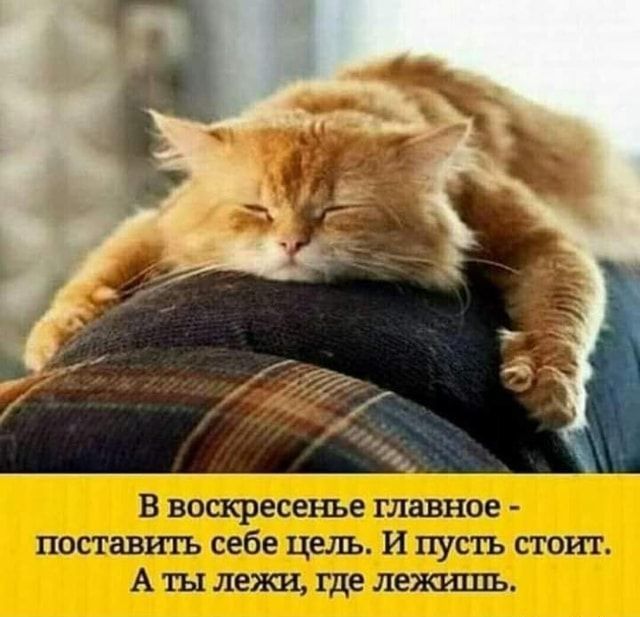 Ве  авное ставить себе цель. И пусть стоит. А ты лежи, где лежишь,