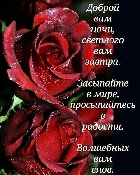 Г вам ночи,  светиого й  вам в бой  завтра.  Засыпайте  в мире, ;йросыпайтесь к 1, радости.  Волшебных е вам.  Снов.