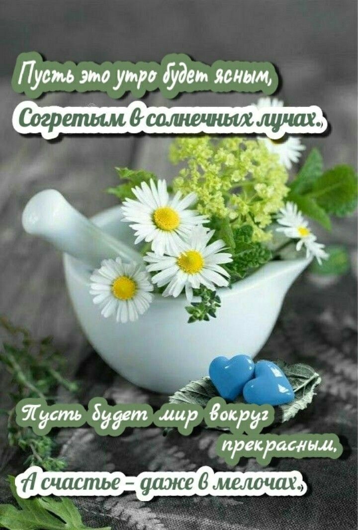 Пуам эмо умри удем ясным эг будет лир Заира прекратил