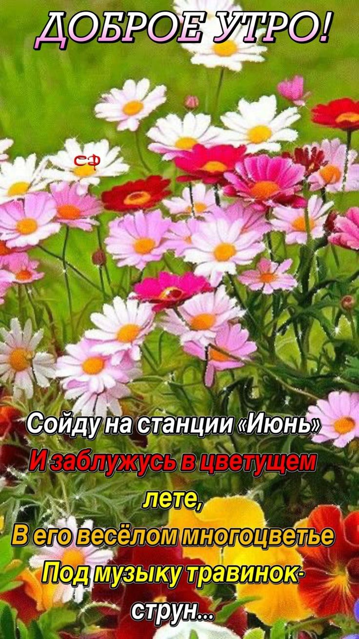 Довротрш