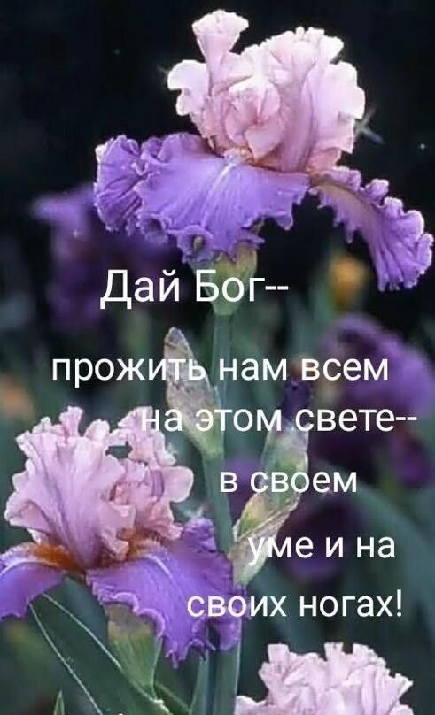 Прож нам ве:ем р вете