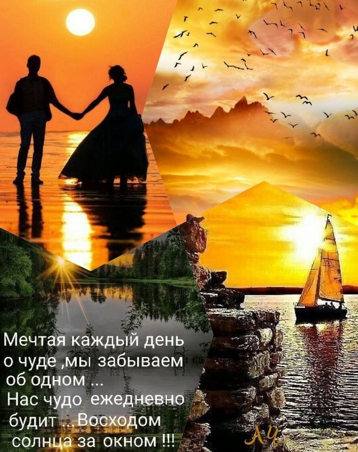солнца за окном