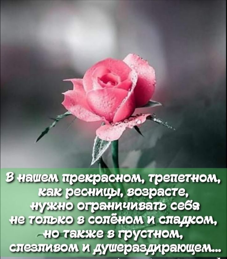 зи дю а ландыша бпейомйсяадкощ віЁЕтом 31 ушёрзздирающем д
