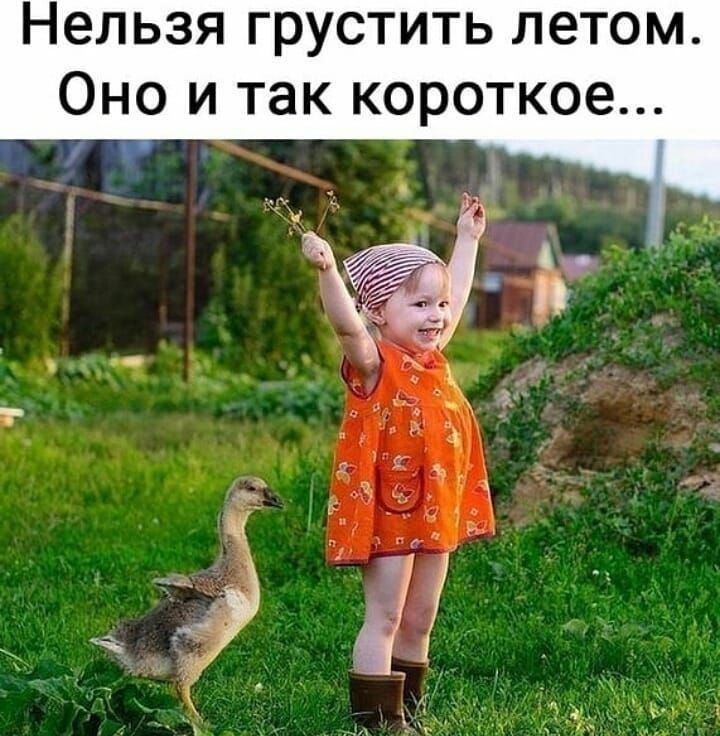 Нельзя грустить летом Оно и так короткое