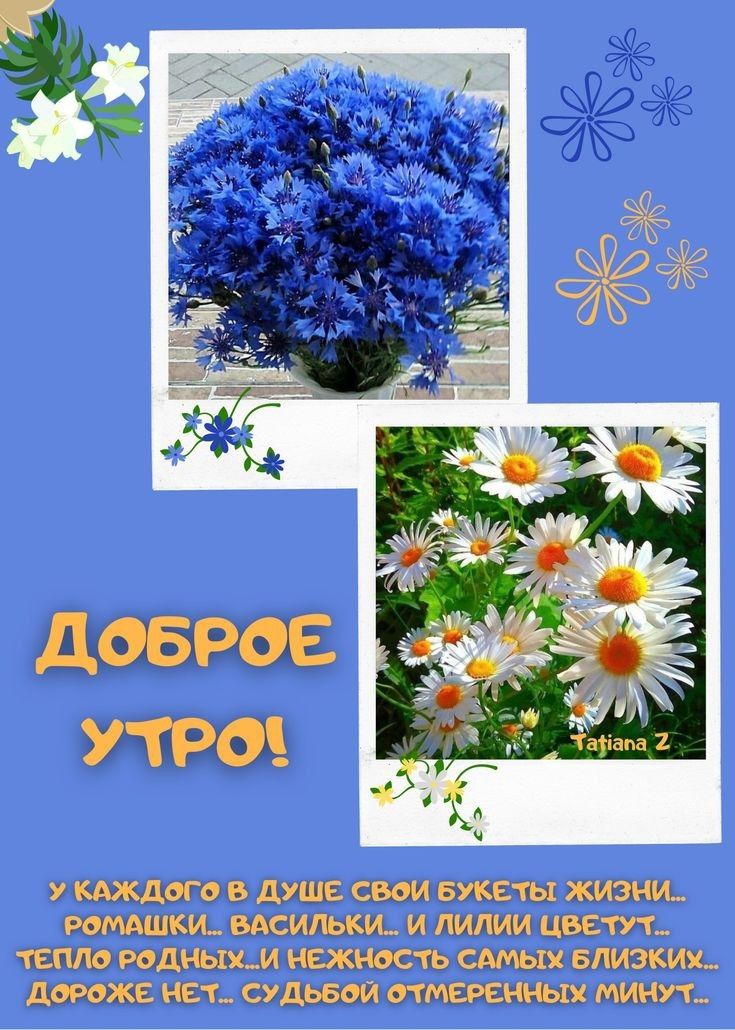 ОВШЁ иж д іи д