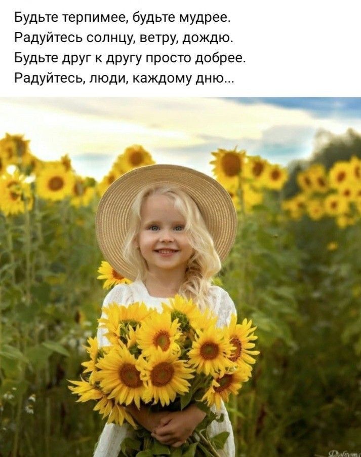 Будьте терпимее будьте мудрее Радуйтесь солнцу ветру дождю Будьте друг к другу просто добрее Радуйтесь люди каждому дню