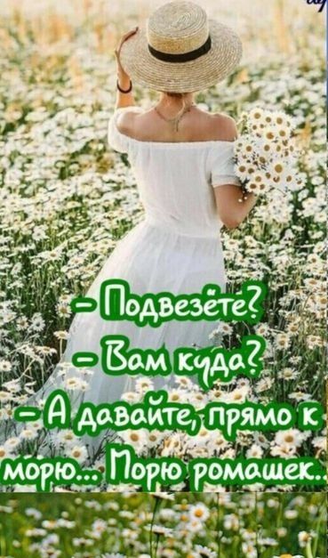 Й кщоааи 