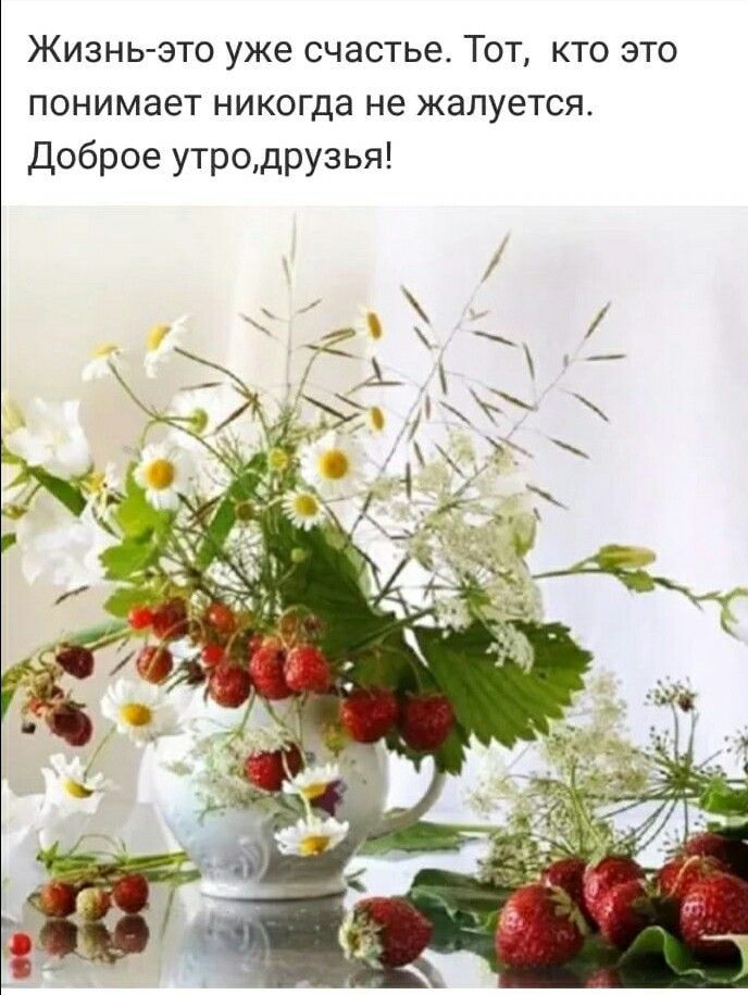 Жизнь это уже счастье Тот кто это понимает никогда не жалуется Доброе утродрузья
