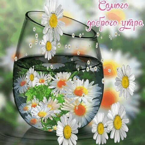 тап г _ ого М Р Х т 1