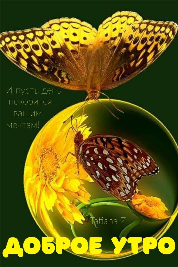 Я С Т И 01 О К О П