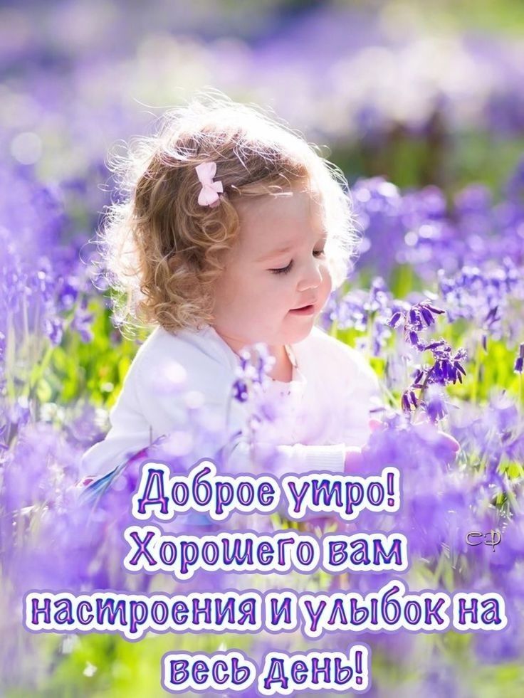 т Дбрхр бар _ _ _ Хрсзгам жариа уп6к 1