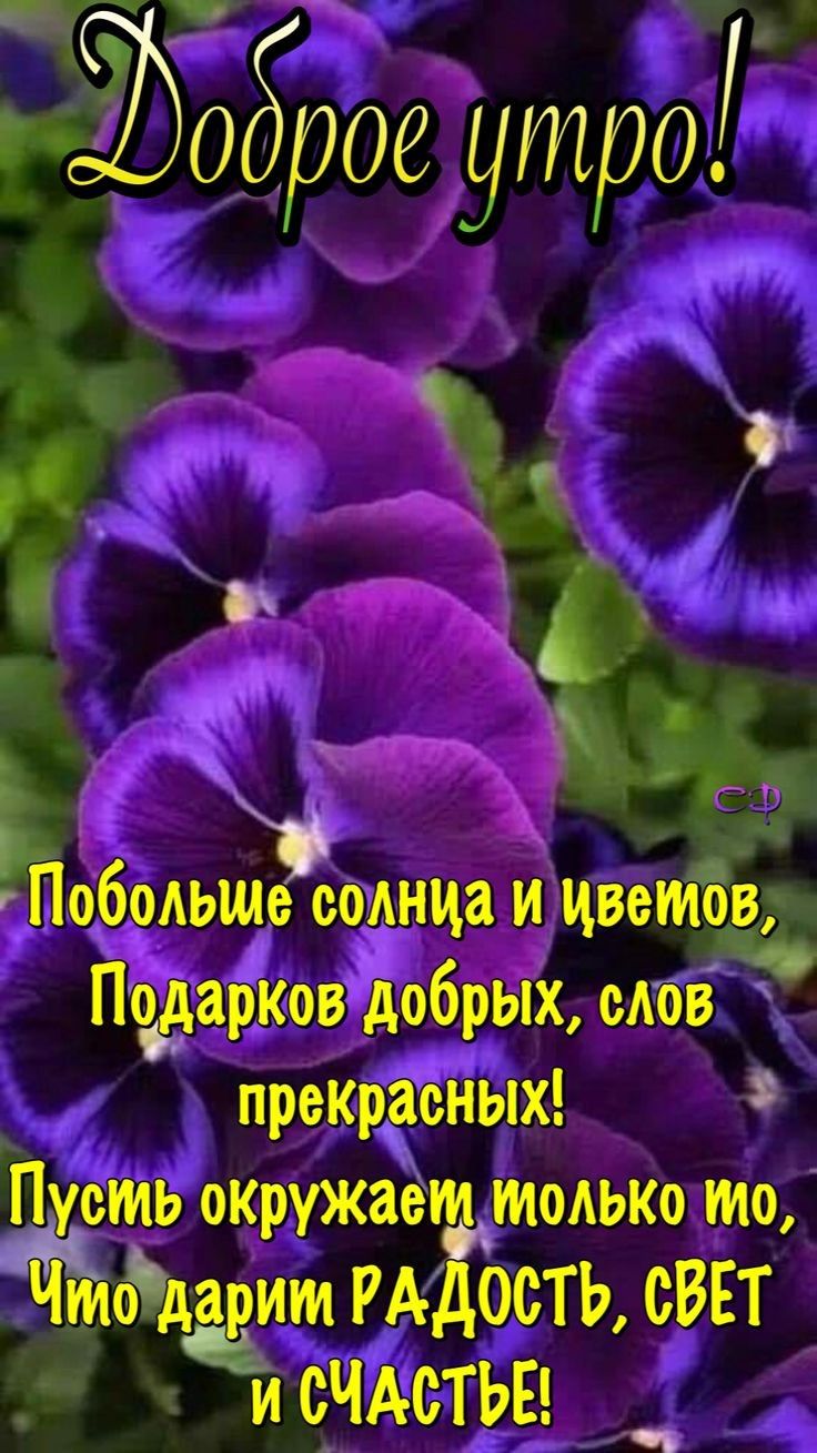 ше сошнца и цветов йдаЁовЁбрых сАов прекрасных окружаёт тодько то Чтодарит РАДОСТЬ свЕт и счАстЬЕі __