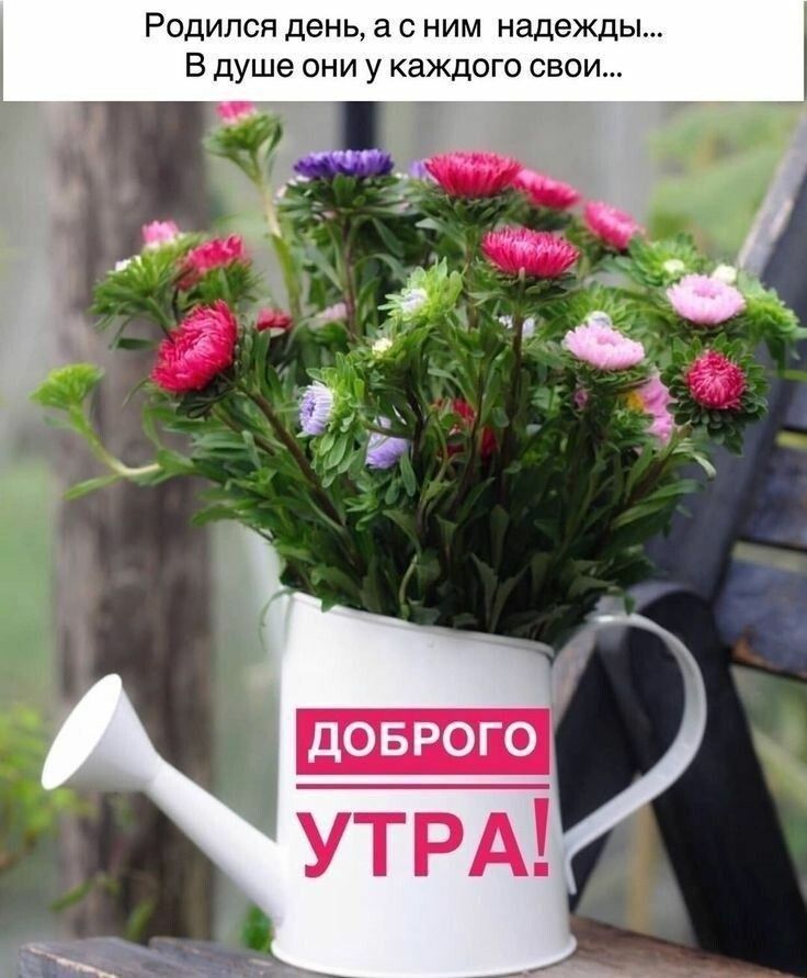 Родился день а с ним надежды В душе они у каждого свои _т _ _