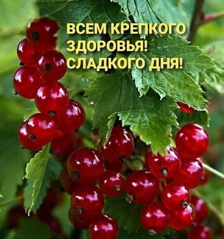 чздыювья _ иосйдкоёщня 4 к сад 1 Р ЁЁ 54 333