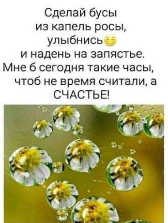 Сделай бусы из капель росы улыбнись и надень на запястье Мне 6 сегодня такие часы чтоб не время считали а СЧАСТЬЕ
