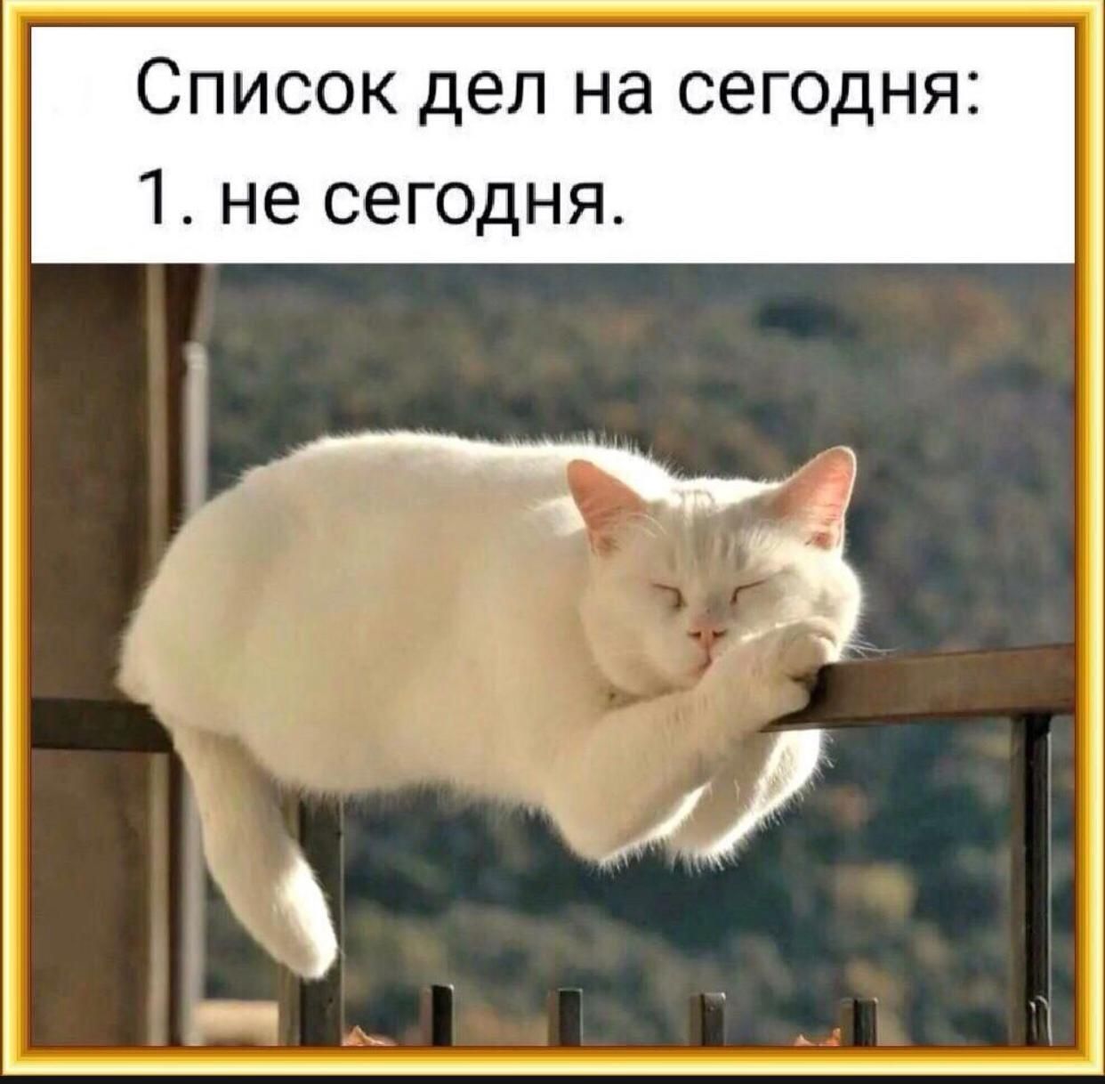 Список дел на сегодня 1 не сегодня