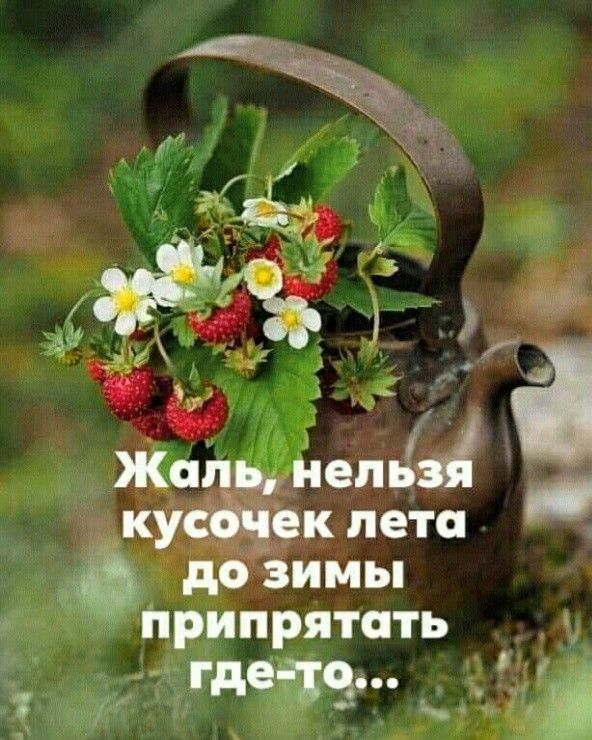 Приііряпать _а _ и