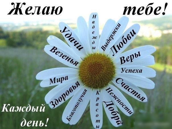 Каждый