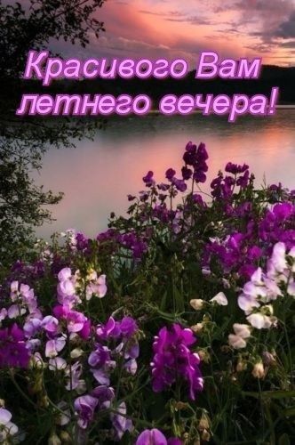 Красивого вам летнего вечера!