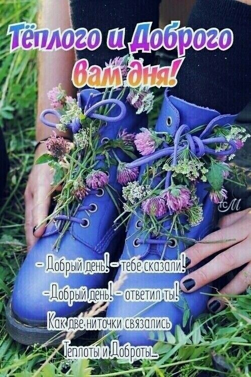 ТгТиШабрптр