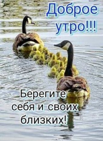 близких М
