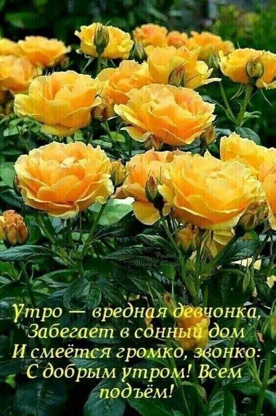 724 дд ЁУт ро Зредная Эёвчонкцхд Забегаёгц в сдцНыйт ний И _смгг ея громко 30 306 Утром Байа бдъём 2 ш Н и