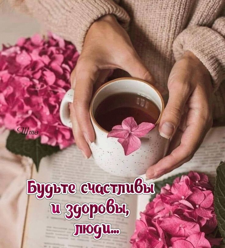 Бу9ъте 311ю9ш