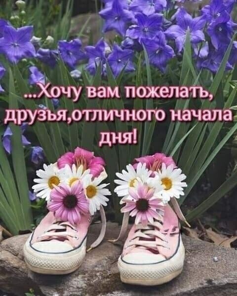 1 Хочу вам пожелать ДРУЗЬЯ ОТЛИЧНОГО НЭЧЭПЭЁ