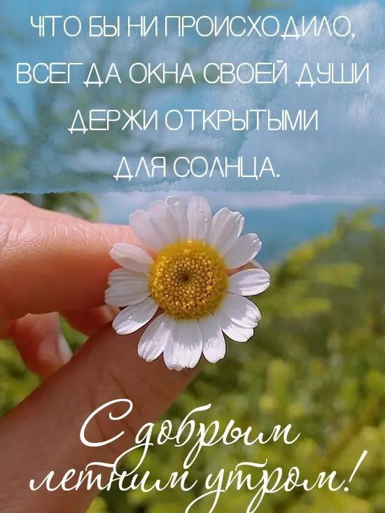 АЕРЖИ оТТЬми Я СОАНЦА