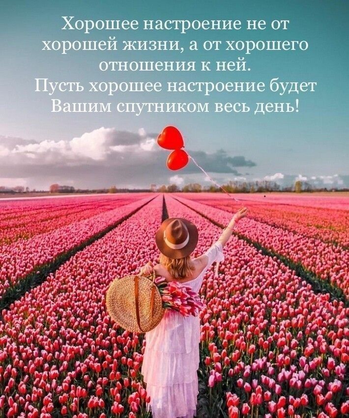 Я к е »  7а 'д ы пя п