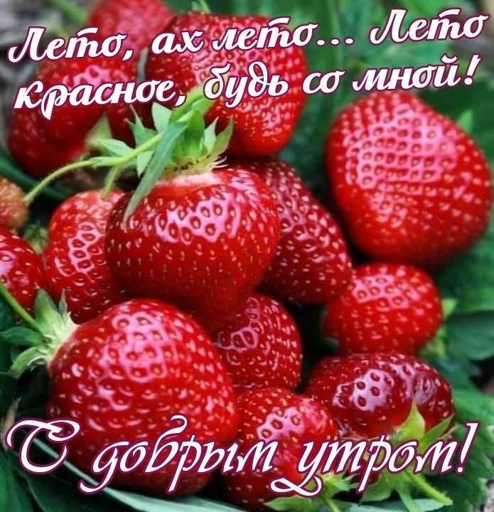 5 Т тттдт 5 Р её р 4