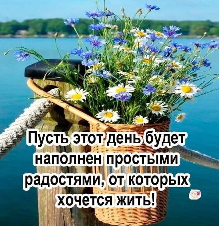 НЗПОЛНЭНП ОСТЫМИ нг р пят