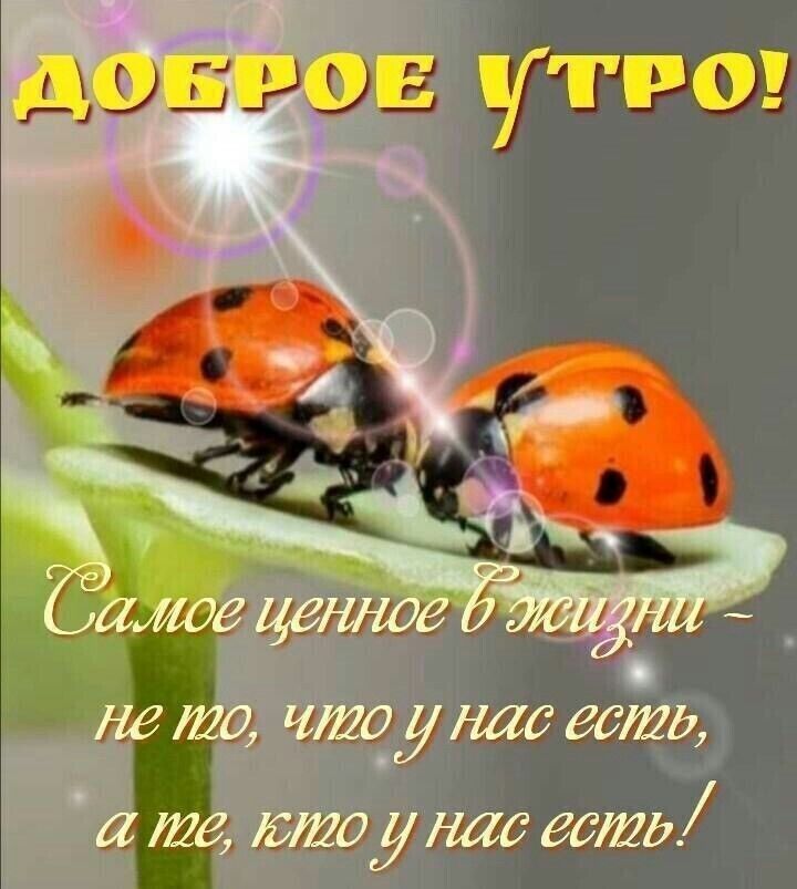 д ЁЁ 5 д мы