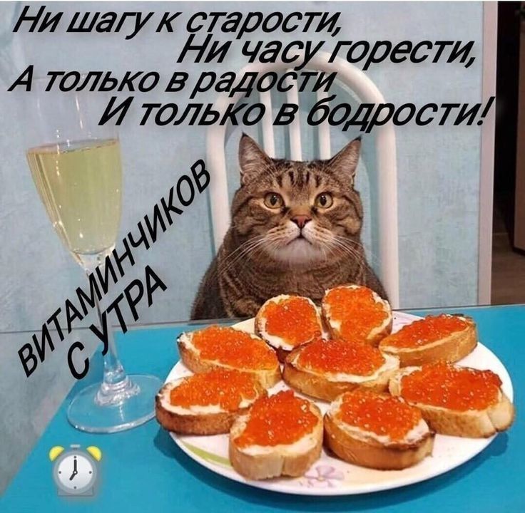 НИшауН сггросгИ НИ час угорест 4 голо вріаст д в бодрит ИТОЛЬ