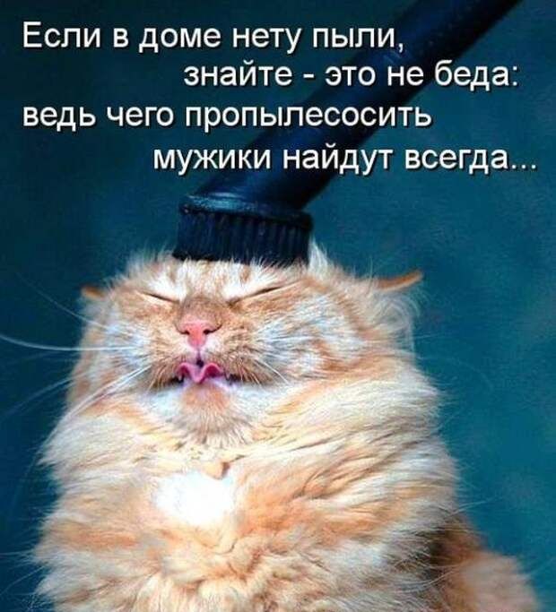 Если в доме нету пыли знайте это не беда ведь чего пропылесосить мужики найдут всегда