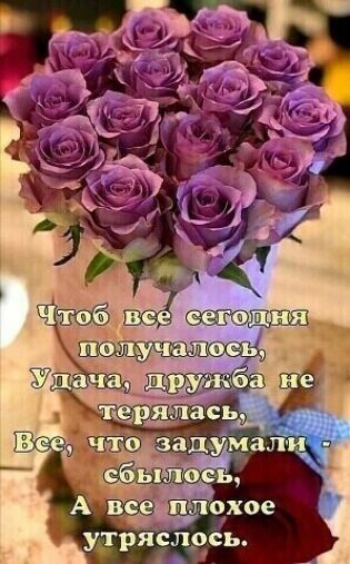 ебы чо А все плехое утряслясь